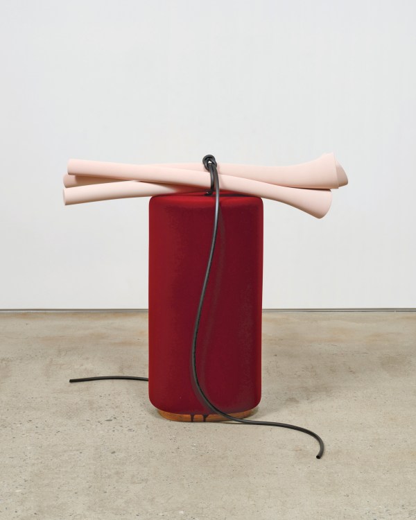 A sculpture featuring a cylindrical red object with light pink tubular forms placed on top, tied with a black cord that loops and extends onto a concrete floor.