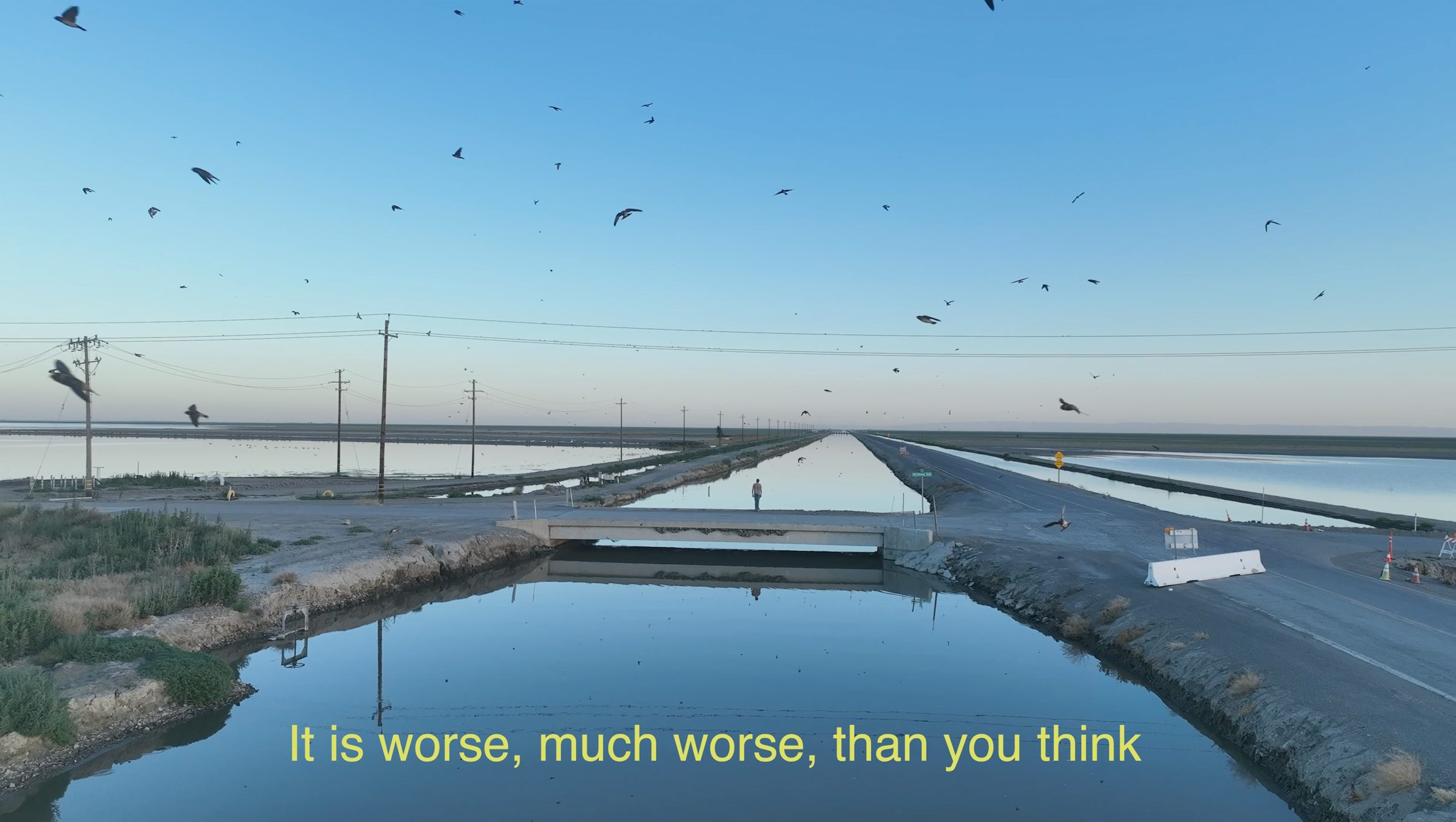 A canal surrounded by roads and utility poles stretches into the distance, with birds flying over the water under a clear blue sky. Yellow text overlays with the words "It is worse, much worse, than you think". From David Longstreth, Dirty Projectors, and s t a r g a z e’s 2025 video “Uninhabitable Earth, Paragraph One.”