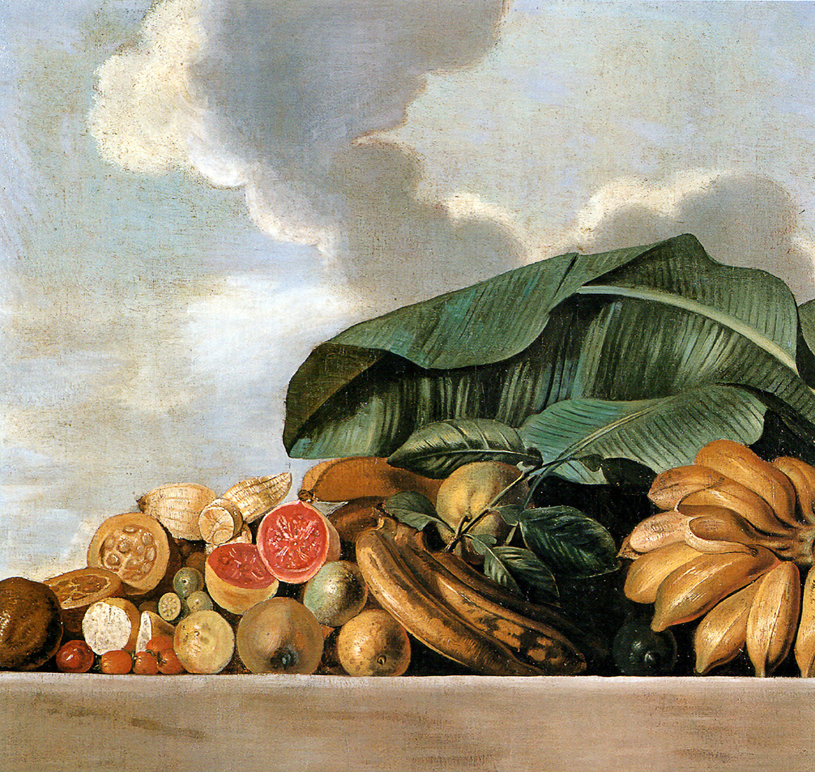 Albert Eckhout, Bananas, goiaba e outras frutas (Bananas, Guavas and Other Fruit) (detail), 1641–43, oil on canvas, 35 3⁄4 × 35 3⁄4".