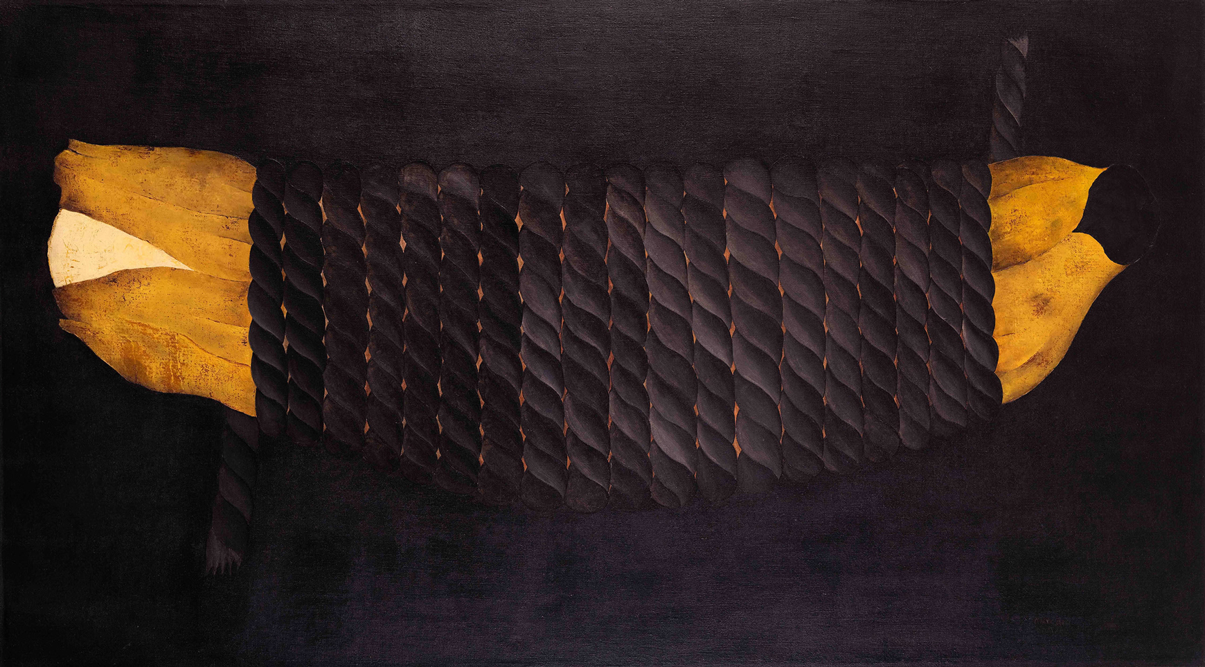 Antônio Henrique Amaral, Compressão or Bananas Amarradas (Compression or Tied Bananas), 1972, oil on canvas, 31 1⁄2 × 60".