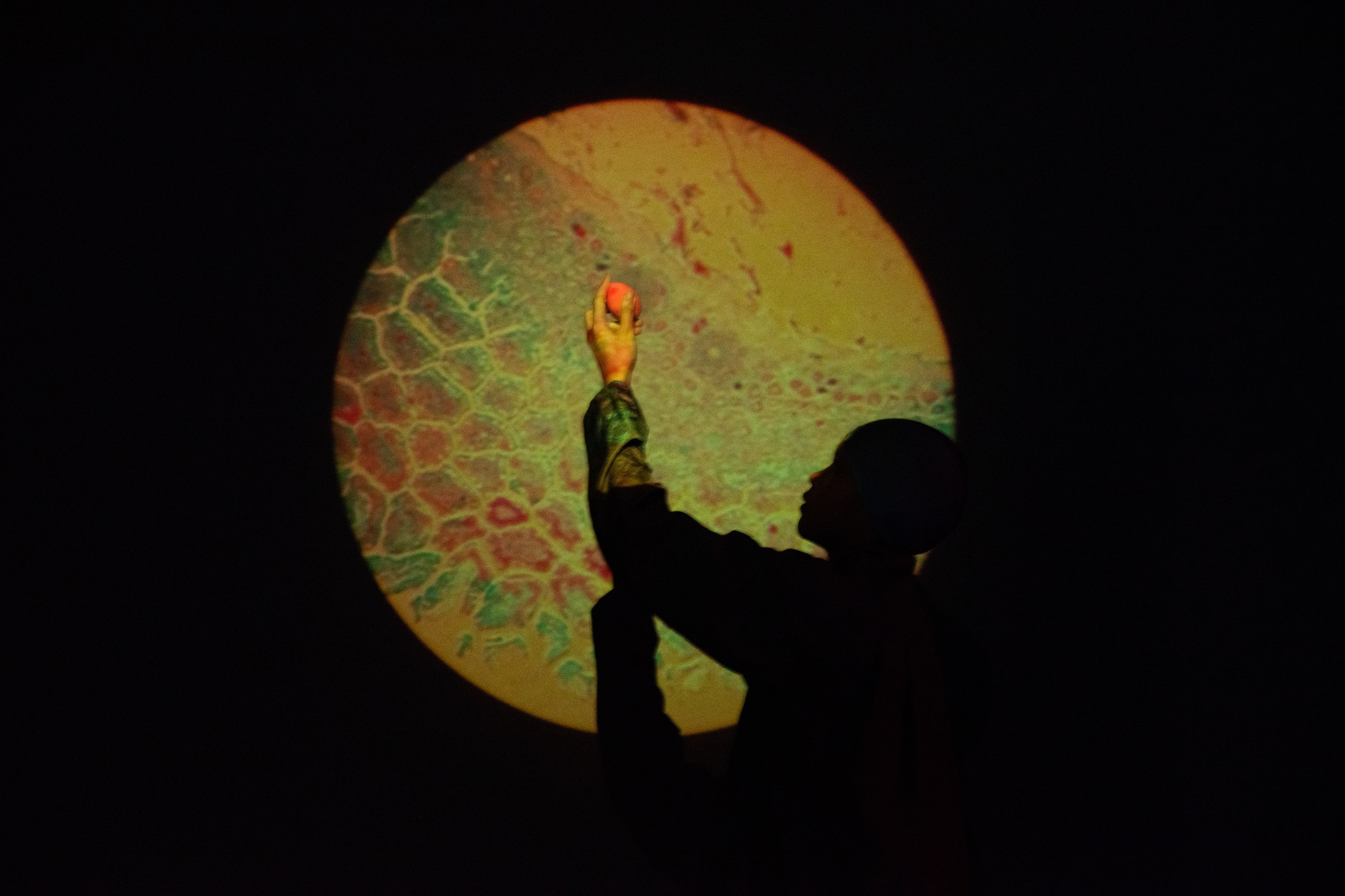 Wilawan Wiangthong, Chapter 4: Eggs, 2024. Performance view, Maielie, Khon Kaen, Thailand, March 2, 2024. Chonticha Srihatai.