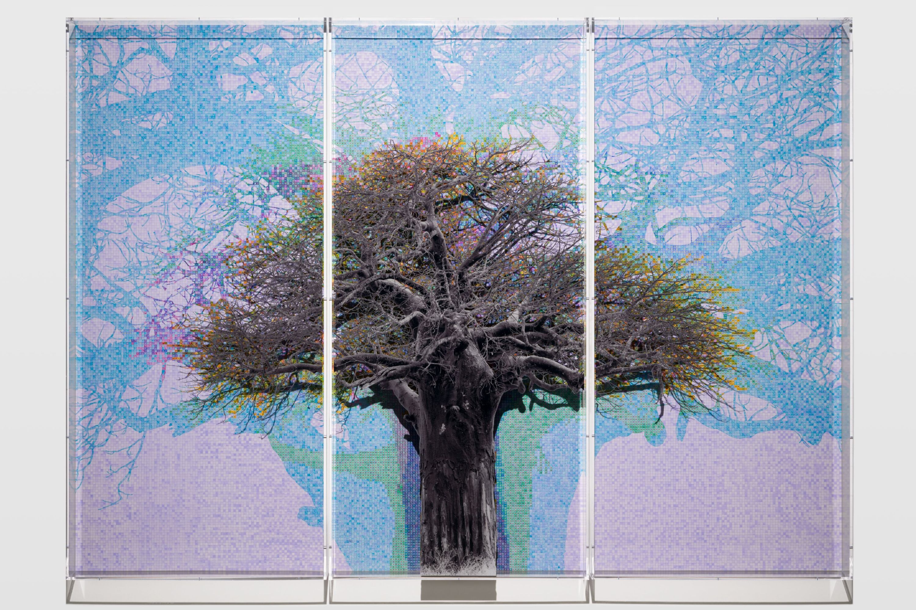 Gridded tree work by Charles Gaines.