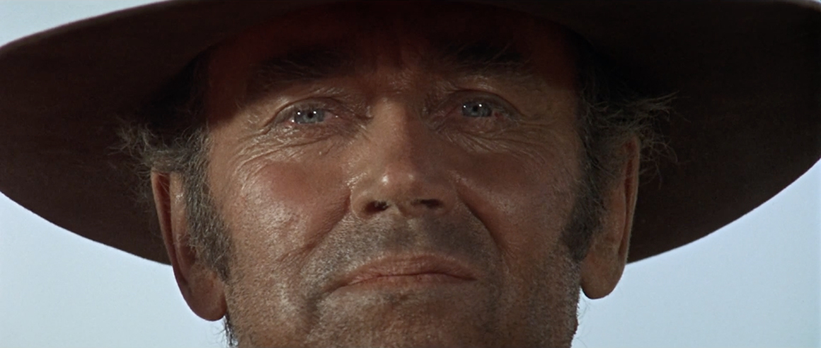 Alexander Horwath, Henry Fonda for President