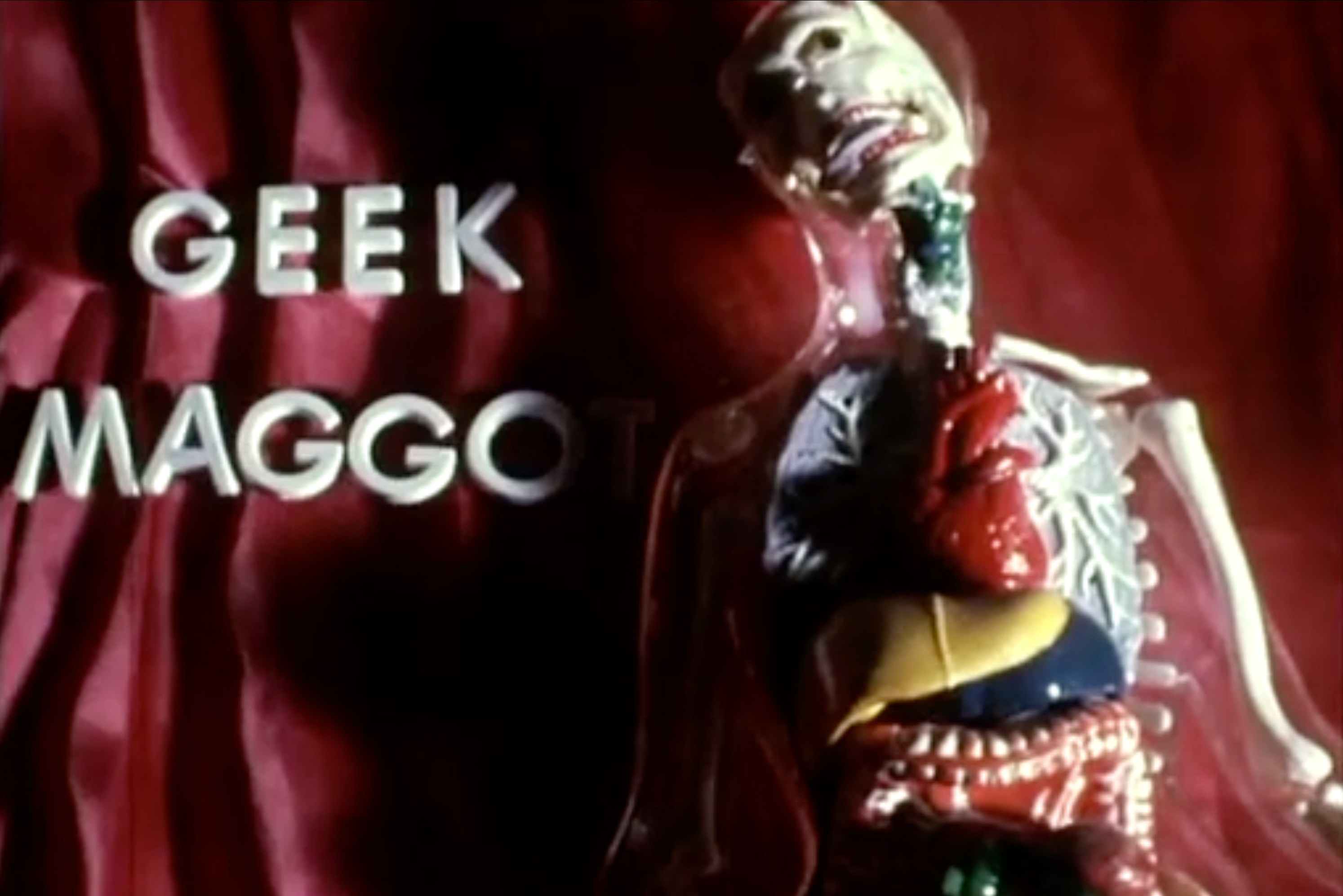 White text reading "GEEK MAGGOT" appears beside a transparent anatomical model displaying colored organs, set against a red fabric background.