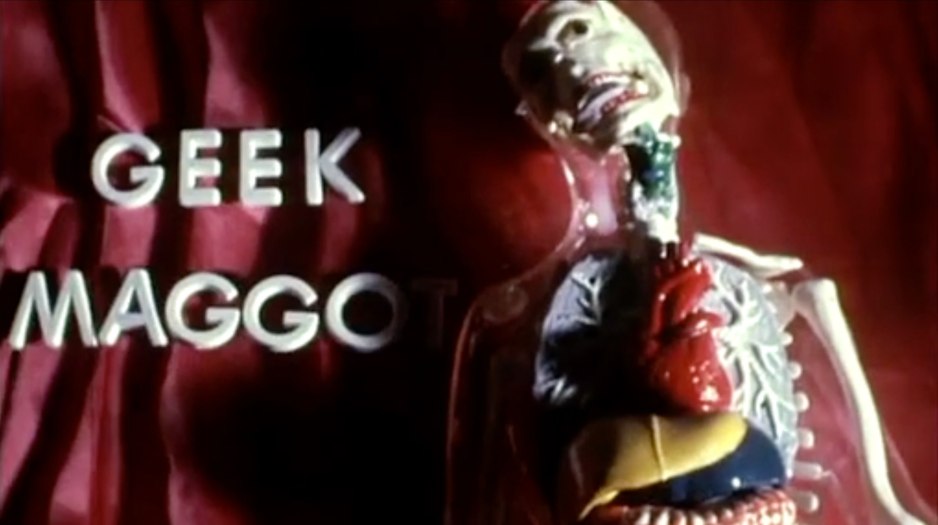 White text reading "GEEK MAGGOT" appears beside a transparent anatomical model displaying colored organs, set against a red fabric background.