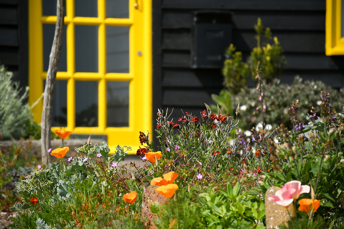 A vibrant garden filled with wildflowers in front of a black house with a bright yellow door featuring large glass panes. The colorful flowers include orange poppies and various other small, multicolored blossoms.