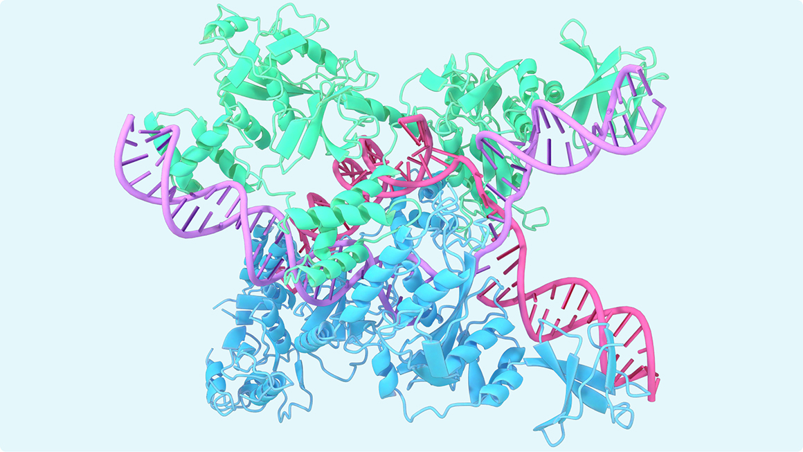 An AlphaFold predicted protein structure, 2023.